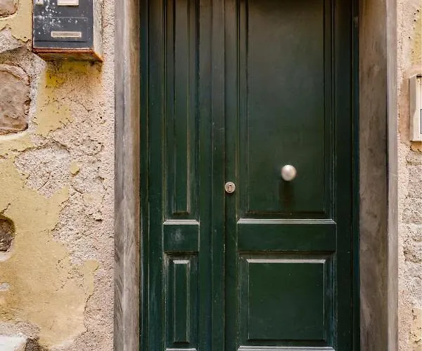 Jellyfish Luxury * Vernazza